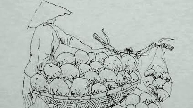 Minh họa: Đỗ Đức