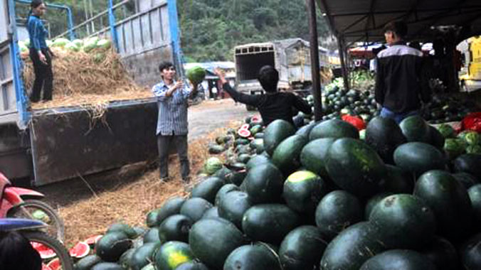 Dưa hấu xuất sang Trung Quốc theo đường tiểu ngạch. Ảnh: Lê Thắng