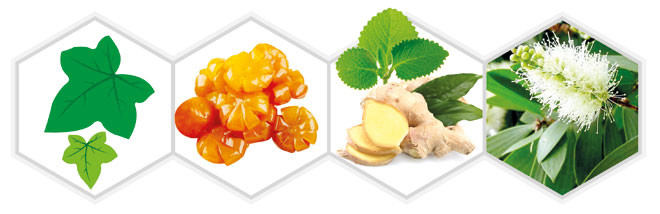 Dịch ép quả tắc, đường phèn kết hợp cao lá thường xuân, tinh dầu (gừng, húng chanh, tràm) giúp bổ phế, nhuận phế, giảm ho cho trẻ