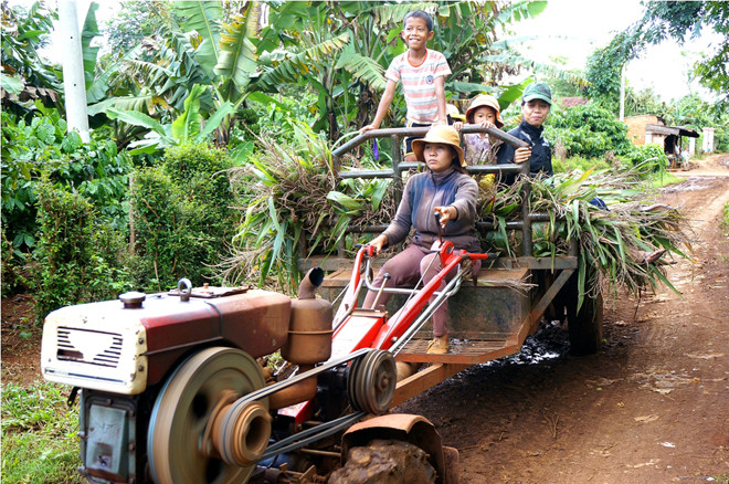 Chị H’ Yim lái xe công nông đi lấy cây ngô cho bò. Ảnh: Djuang Yên