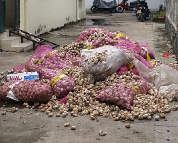 Số tỏi không rõ nguồn gốc được ngành chức năng tập kết lại 