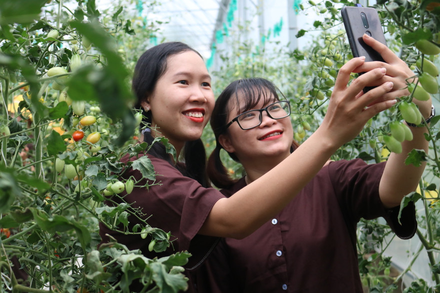 Khởi nghiệp trở thành khát vọng làm giàu trên quê hương Đồng Khởi