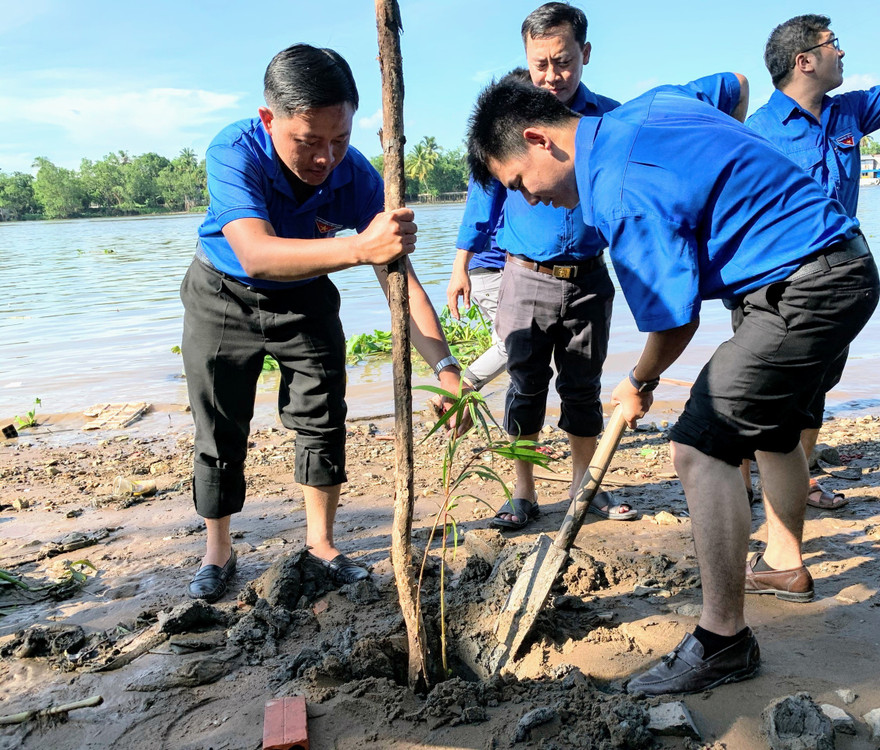 Cần Thơ trồng 1000 cây xanh chống sạt lở bờ sông