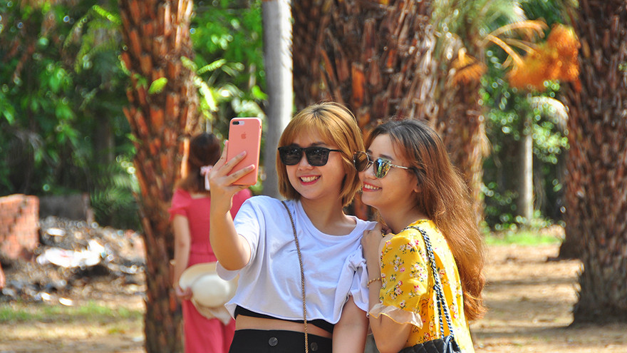 Giới trẻ thích thú vẻ đẹp vườn chà là sum suê trái ở miền Tây