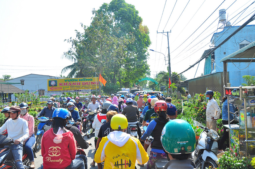 Xe kẹt cứng ở làng hoa Sa Đéc lớn nhất miền Tây