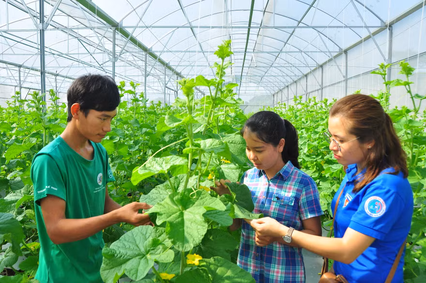 An Giang hỗ trợ hơn nửa tỷ đồng cho bạn trẻ vay vốn khởi nghiệp ​