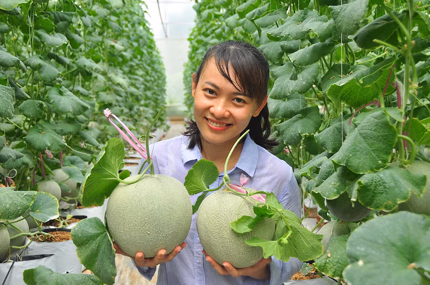 Việt Nam nằm trong top 3 hệ sinh thái khởi nghiệp sáng tạo lớn nhất Đông Nam Á ​