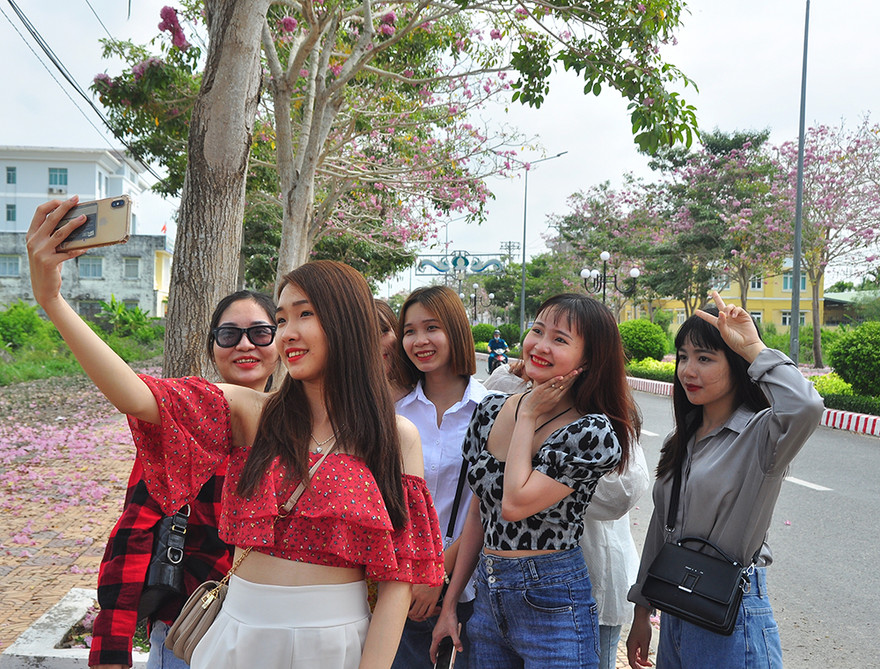 Con đường hoa kèn hồng ở miền Tây lung linh như phim Hàn thu hút giới trẻ