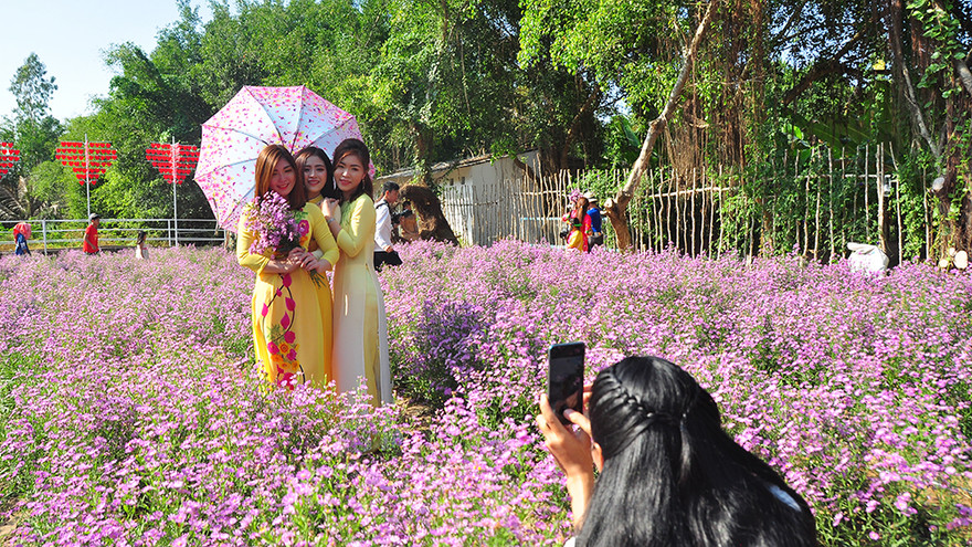 'Đà Lạt thu nhỏ' thu hút giới trẻ Tây Đô