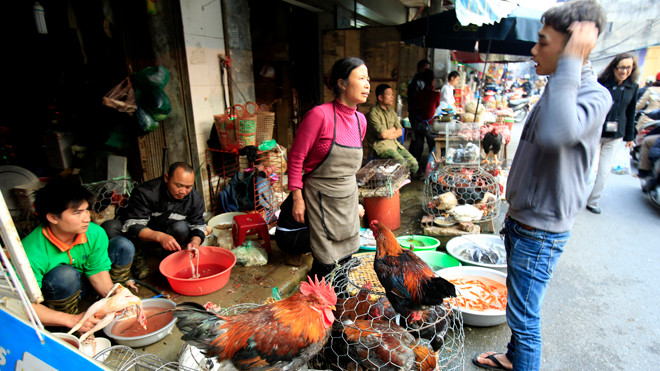 Các chợ gia cầm sống sẽ bị đóng cửa tạm thời nếu xuất hiện virus H7N9 (Chợ bán gà trên phố Vĩnh Hồ-Hà Nội). ảnh: như ý