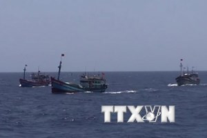 Tàu cá của ngư dân Việt Nam. Ảnh minh họa: Công Định - Hữu Trung/TTXVN