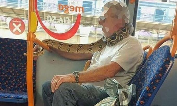 Quấn rắn quanh mặt làm khẩu trang trên xe buýt
