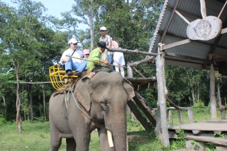 Du khách lắc lư trên lưng chú Voi hiền lành.