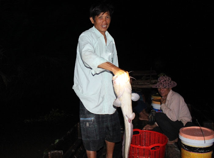 Cao thủ săn cá ngát miền Tây