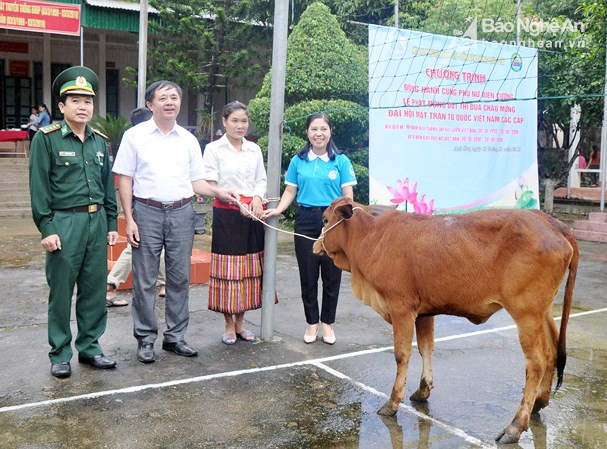 Lãnh đạo huyện Anh Sơn, Hội LHPN huyện và Đồn Biên phòng Phúc Sơn trao tặng bò cho chị Hồ Thị Thúy (bản Vều 4). Ảnh: Công Kiên