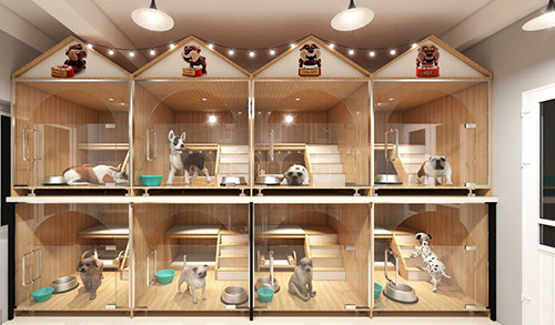 Khách sạn cho thú cưng của một cửa hàng tại Hà Nội. Ảnh: NVCC