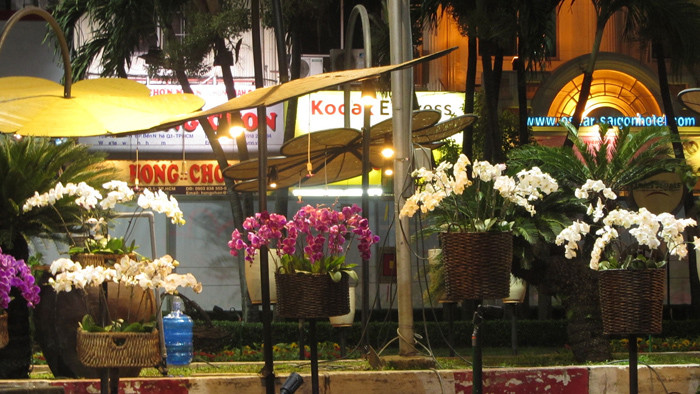 Đường hoa Nguyễn Huệ trước giờ khai hội 