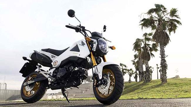 Điểm nhấn của Honda MSX125 phiên bản 2014 là một số thay đổi đáng kể về mặt thiết kế.