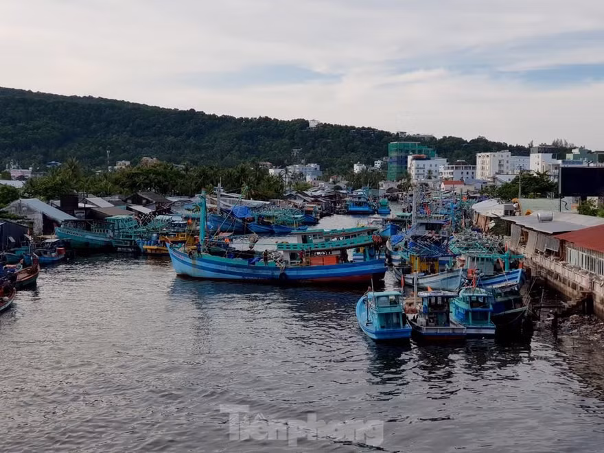 Sông Dương Đông, TP. Phú Quốc.
