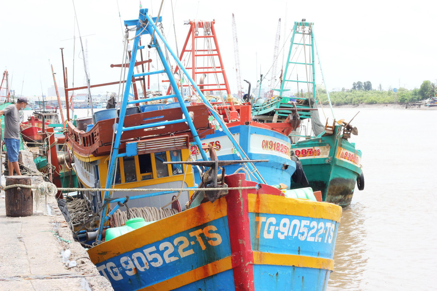 Các tỉnh miền Tây chủ động ứng phó bão Rai.