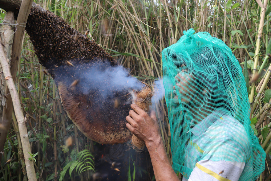 Theo chân thợ gác kèo ong ở 'vùng đất cuối trời’