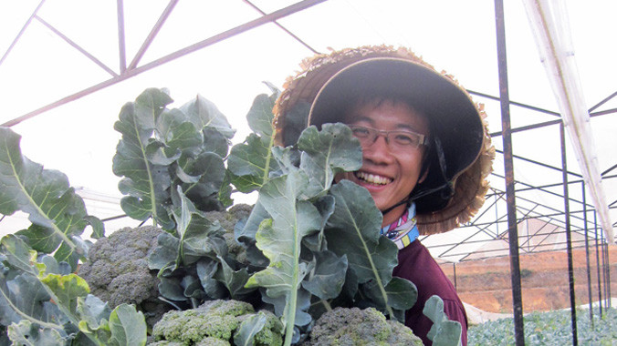 Cử nhân Nguyễn Thanh Liêm thu hoạch rau sạch