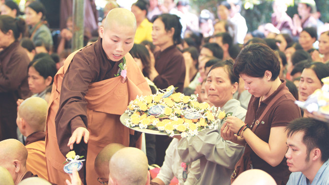 Hoa hồng và nước mắt. Ảnh: N.M.Hà