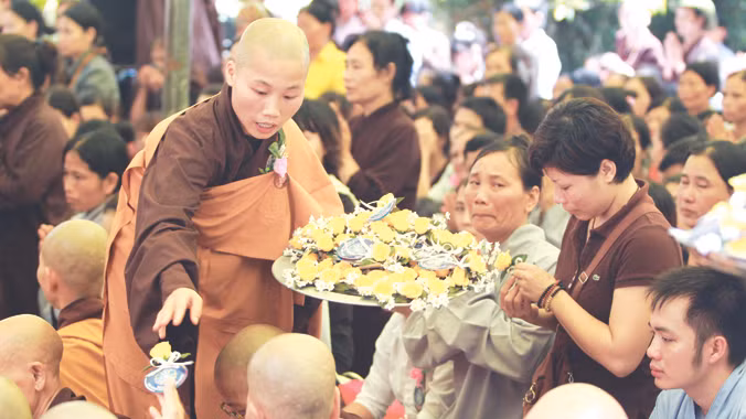 Hoa hồng và nước mắt. Ảnh: N.M.Hà
