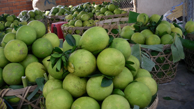 Bưởi Năm Roi. Ảnh: Ngọc Huyền