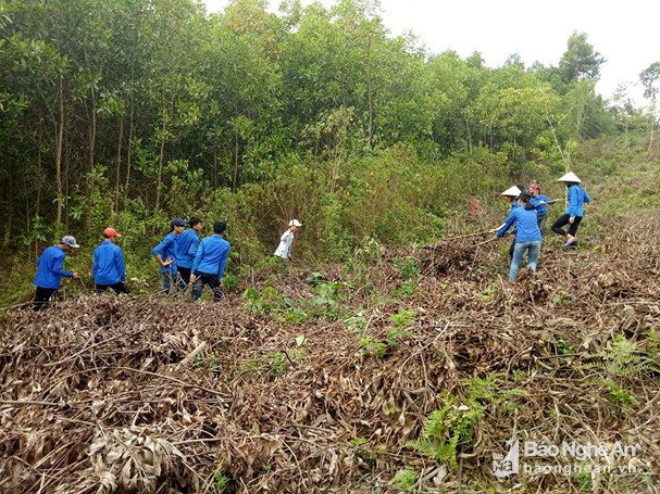 BẢN TIN TÌNH NGUYỆN: Thanh niên phòng chống cháy rừng