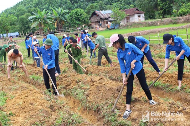 BẢN TIN TÌNH NGUYỆN: Hàng trăm thanh niên lao động giúp bản nghèo