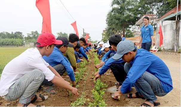 BẢN TIN TÌNH NGUYỆN: Trồng cây 'Vì một Việt Nam xanh'