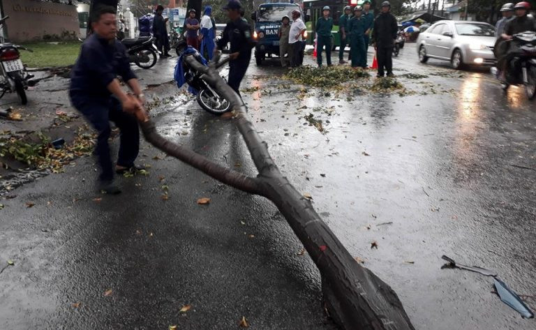 Gió lốc gãy cành cây đè xe máy, người đàn ông thoát chết