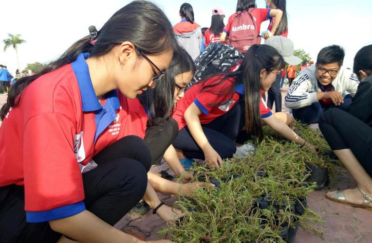 Nhiều hoạt động ý nghĩa của đoàn viên trong chiến dịch “Hoa phượng đỏ”