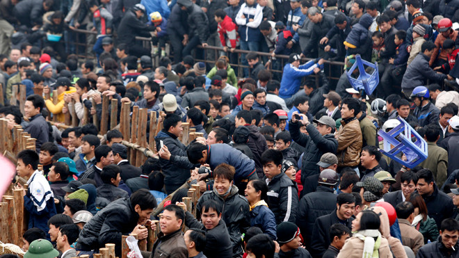 Biển người chen lấn, giẫm đạp nhau xem Lễ hội chọi trâu ở Hải Lựu, Sông Lô, Vĩnh Phúc ngày 16/2. ảnh: hồng vĩnh