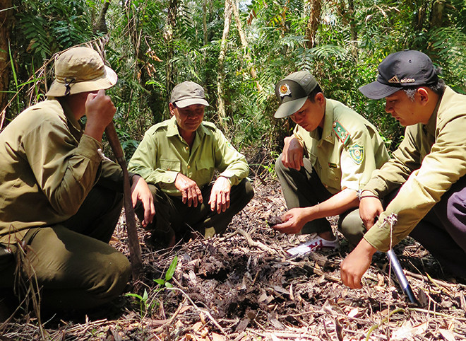 Rừng U Minh Hạ cảnh báo cháy cấp độ 5 cực kỳ nguy hiểm