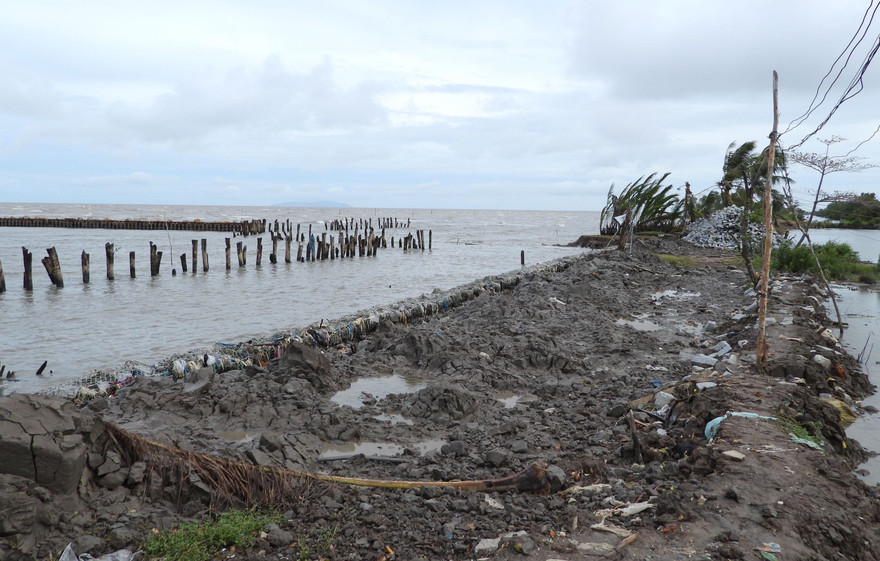 Cà Mau ban bố tình huống sạt lở khẩn cấp đê biển Tây