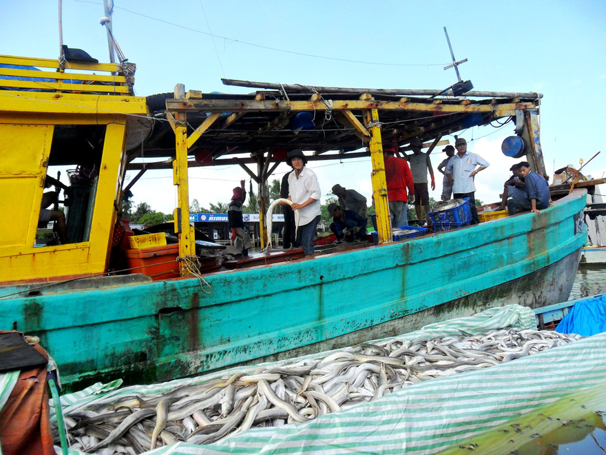 Những tàu cá tự tháo thiết bị hành trình sẽ bị phạt để răn đe