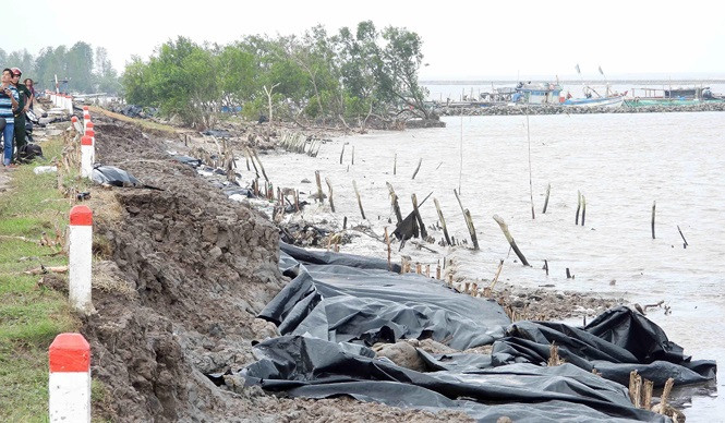 Ban bố tình huống khẩn cấp sạt lở đê biển Tây Cà Mau