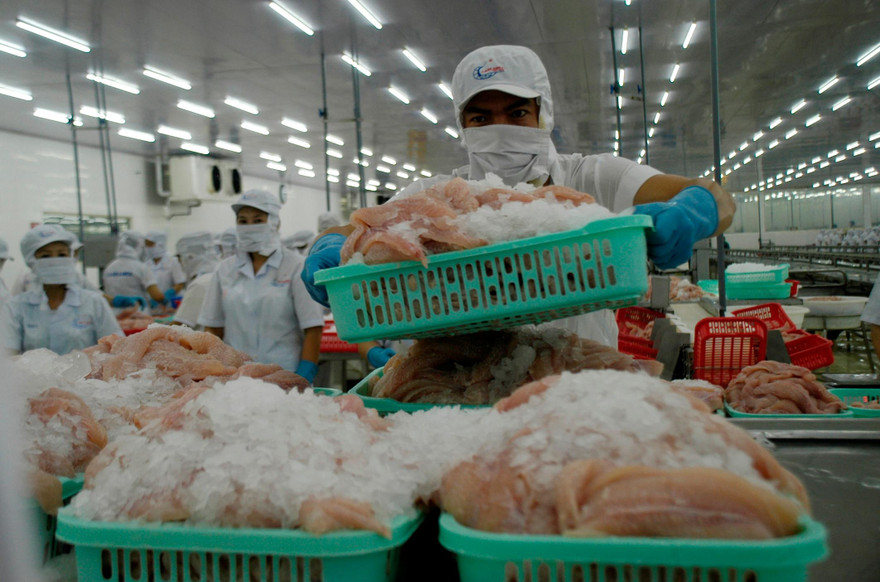 Chế biến thủy sản xuất khẩu ở ĐBSCL. Ảnh: CK