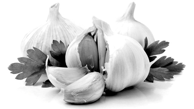 Các chất sun phít trong tỏi tía có tác dụng làm hết mỡ gan nhanh chóng nhờ ức chế trực tiếp sự tổng hợp cholesterol ở gan