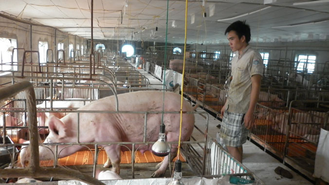 Cần đào tạo gấp 10.000 dẫn tinh viên ở các địa phương