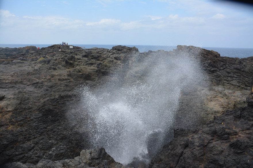  Khi biển cất tiếng 