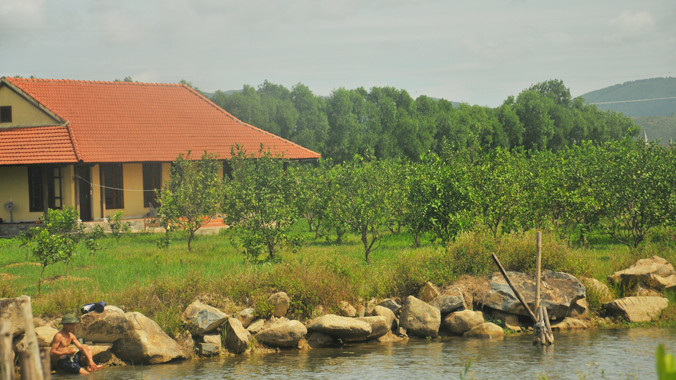 Trung tâm phục tráng cam Xã Đoài