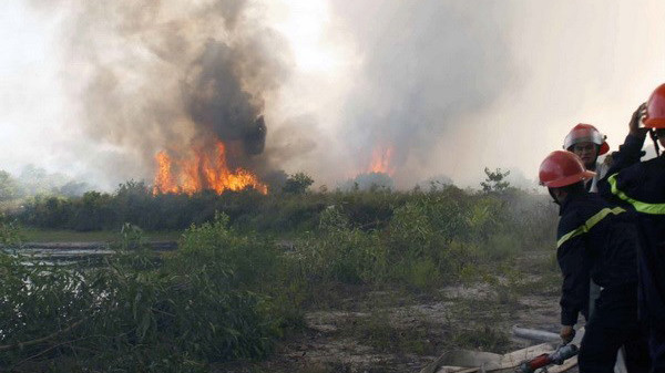 Ảnh minh họa: Quốc Việt/TTXVN