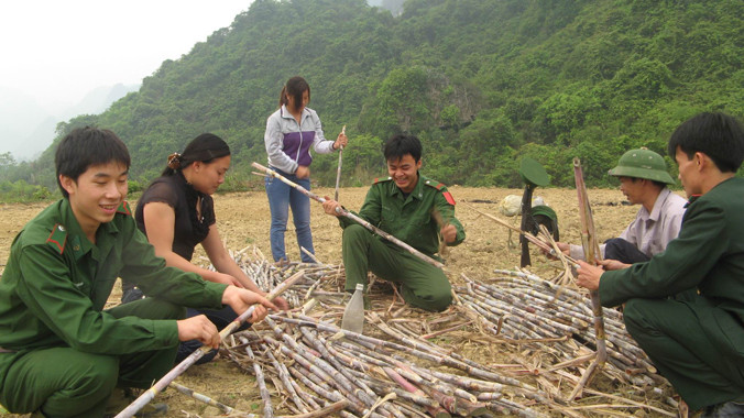 Chiến sĩ Biên phòng giúp đồng bào Cao Bằng thu hoạch mía. Ảnh: Nguyễn Minh