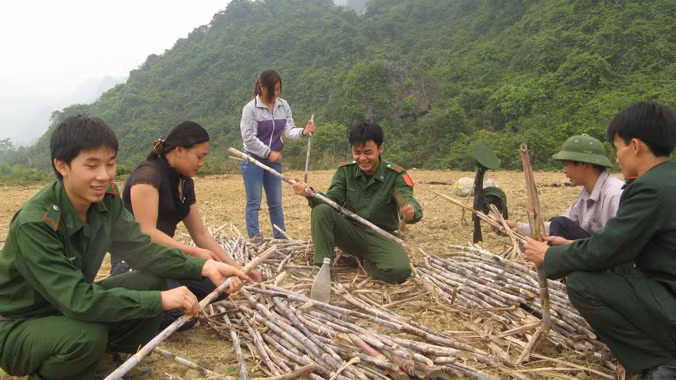 Chiến sĩ Biên phòng giúp đồng bào Cao Bằng thu hoạch mía. Ảnh: Nguyễn Minh