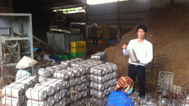 Nguyễn Đức Tình tại nơi sản xuất mộc nhĩ. ẢNH: KIẾN NGHĨA