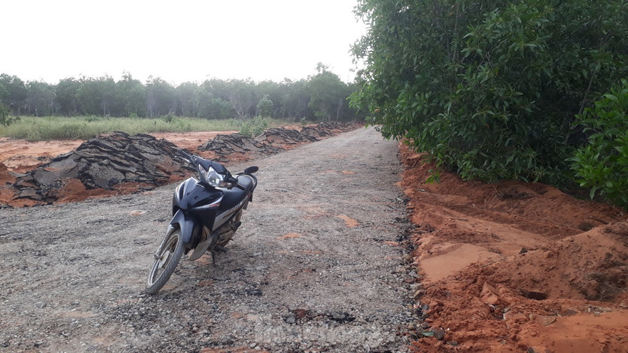 Dân tự ý làm đường nhựa trên đất nông nghiệp để phân lô bán nền ở Phan Thiết