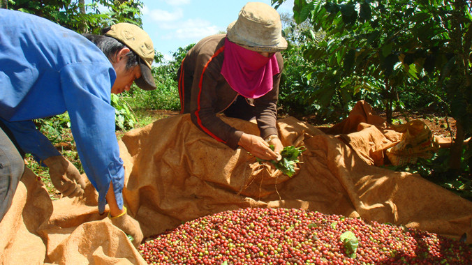 Công nhân khốn khổ vì nợ và khoán cao